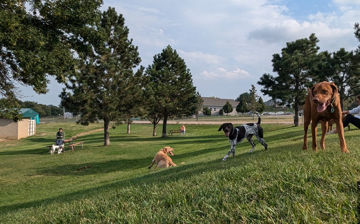 2024 Mandan Photo Contest Community Category Winner - Mandan Dog Park by Ben Buchmiller